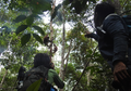 WWF Indonesia Bersama AWS Kembangkan Pengenalan Wajah Orang Utan