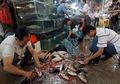Anak-anak Kucing Dicekoki Daging Kucing Mati: Daging yang Dibeli dari Pasar Basah China Terancam Dilarang Karena Sebuah Eksperimen di AS