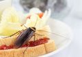 4 Obat Anti Kecoak Tanpa Bahan Kimia, Usir dan Basmi Tanpa Efek Samping Bagi Manusia