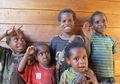Di Papua Sampai Saat Ini Tak Ada Satupun Anak Meninggal Karena Covid-19, Ketua IDAI Acungi Jempol