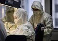 Peneliti di Thailand Uji Kelelawar Untuk Penangkal Virus Corona