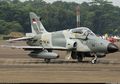 Padahal Sudah Ditebus Hampir Setengah Triliun Rupiah, Militer Indonesia Malah Tak Boleh Pasang Bom pada Pesawat Hawk 209, Mengapa?