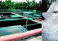 Dua Jenis Air Limbah Rumah Tangga, Cara Kelola agar Tak Mencemari Lingkungan