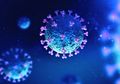 Ahli Epidemiologi Bilang Indonesia Gamang Hadapi Pandemik Covid-19