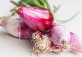 Rambut Tipis Bikin Minder? Coba Pakai Bawang Merah dengan Cara Seperti Ini, Rambut Bisa Seketika Tebal dan Bervolume