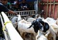 Jelang Idul Adha, Kementerian Pertanian Keluarkan Tata Cara Pemotongan Hewan Kurban saat Pandemi Covid-19