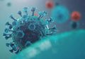 Covid Hari Ini 13 Juli 2020: Terkait Penyebab Orang Tanpa Gejala Covid-19, Ilmuwan Ungkap Partikel CacaT Virus Corona