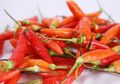 Cabai Awet 6 Hari Disimpan di Kulkas, Kenapa Tidak Boleh Didekatkan dengan Bahan Ini?
