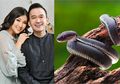 Seakan Tak Bisa Hidup Tenang, Sarwendah Syok Saat Sang Anak Kembali Melihat Ular Hitam di Dalam Rumah Barunya, Teror Lagi?