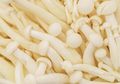 Kerap Digunakan Dalam Masakan, Apakah Kita Masih Bisa Menggunakan Jamur Enoki yang Viral Sebabkan Kematian karena Bakteri Listerianya?