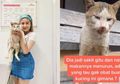 Viral Kucing yang Diam Seperti Patung itu Dibawa Awkarin ke Klinik Hewan dan Diinfus, Apa Hasil Diagnosa Dokter? Ini Dia!