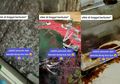 Ditinggal Berbulan-bulan Selama Pandemi Corona, Anak Kos Ini Menjerit Lihat Kamarnya Berjamur dan Berbau Busuk