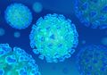 Dunia Sudah Kacau Balau Gara-gara Corona, Virus Baru Kembali Muncul dan Terancam Mewabah Satu Bumi, Ilmuwan Sebut Tak Ada Satu Pun Manusia yang Kebal dari Flu Mematikan Ini