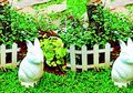 Yuk, Bikin Taman Makin Asri ala 'Kampung' dengan 8 Aksesori Ini