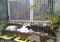 Sudah 1,5 Tahun, Kasus Siswi SMK yang Tewas Ditusuk Pisau di Dada Belum Juga Terungkap, Tak Adanya Saksi Menyulitkan Polisi, Kapolresta Bogor: Harusnya Setiap Kejadian Ada Jejak