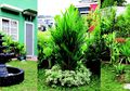 Trik Mendesain Taman yang Luas di Hoek, Beri Kejutan Bertema di Beberapa Area