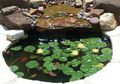 Saat Memiliki Kolam Taman, Ada 3 Aturan Dalam Fengshui Yang Harus Ditaati, Ini Dia