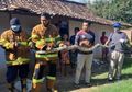 Seremnya Kebangetan, Tak Hanya Satu, Tujuh Ular Piton Sepanjang 5 Meter Teror Warga Blora