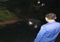Asyik Kongkow Dikagetkan Penampakan Ular Sanca Seukuran Tiang Listrik, Warga Serpong Beri Kesaksian Detik-detik Bocah 13 Tahun Tewas Terlilit, Tak Menyangka Akan Kehilangan Nyawa