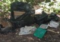 Sungguh Berhati Iblis yang Melakukannya, 10 Hewan Mati Termasuk Anjing Dibuang dalam Kotak di Tempat Sampah