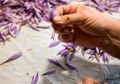 Pola Makan Tak Sehat Sejak Muda Tingkatkan Risiko Alzheimer, Cegah dengan Campurkan Rempah-rempah Ini dalam Masakan