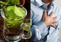 8 Kegunaan Daun Salam untuk Kesehatan Vital, untuk Kesehatan Jantung!