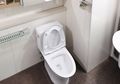 Duduk di Toilet Terlalu Lama Jadi Salah Satu Kebiasaan Buruk yang Harus Dihindari, Fatal Bagi Kesehatan!