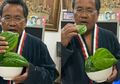Hotman Paris Yakin Makan Daun Sirih Bisa Bunuh Virus Corona di Kerongkongan, WHO Berikan Kebenaran Khasiatnya
