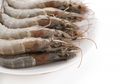 Jangan Pernah Makan Udang Dengan Ciri-ciri Ini, Bisa Jadi Sumber Penyakit!