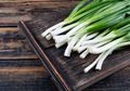 Daripada Pergi ke Pasar, Lebih Baik Coba Tanam Sendiri Daun Bawang di Rumah, Hasil Panennya Bikin Untung!