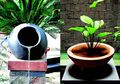 Peduli Bumi, Ini 4 Cara Bikin Resapan Air Multifungsi di Rumah