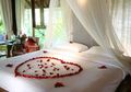 Nekat Masuk Kamar Pengantin Baru di Malam Pertama, Seorang Ibu Mertua Ajari Caranya Bercinta karena Kebelet Nimang Cucu, Namun Malah Berakhir Duka