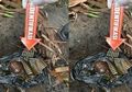 Tak Sadar Kekuatannya Bisa Musnahkan Satu Kampung, Pria Blitar Ini Pungut Geranat dan 56 Butir Peluru Lalu Dibungkus Plastik, Baru Lapor ke Polisi