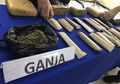 Jualan Ganja dalam Lingkungan Kampus, Mahasiswa Universitas Swasta di Jakarta Diciduk Polisi