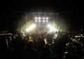 Konser Drive-In The Chainsmokers Tuai Kecaman, Para Penonton Langgar Social Distancing