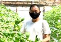 Tak Lagi Dipanggil Jokowi, Mantan Menteri dengan Segudang Prestasi Ini Pilih Bertani Sayur Mayur di Tengah Kota, Suksesnya Tak Kalah dengan saat Jadi Pejabat Negara!