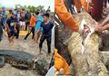 Jeritan Pilu Menggema, Detik-Detik Ponidi Diterkam Buaya dan Diseret hingga Tenggelam di Sungai, Disaksikan Istri dan Anak yang Menangis Histeris