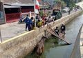 Terus Mengamuk Selama di dalam Aliran Kali, Seekor Sapi Awalnya 'Marah Besar' hingga Nyemplung ke Sungai di Perumahan Kawasan Depok