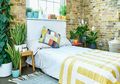 Buat Para Pecinta Tanaman, Letakkan 7 Tanaman Hias ini di Kamar Tidur, Rasakan Perbedaannya pada Kualitas Tidur Anda, Mau Coba?