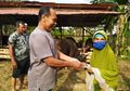 15 Tahun Jeripayah Nyapu Jalannya Terkumpul, Nenek Pekerja DPU Ini Sumbang Sapi dan Kambing untuk Kurban: Dunia Tak Ada Apa-apanya, Akhirat yang Penting