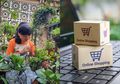 Masuk New Normal, Lebih Baik Belanja atau Budi Daya Sendiri?