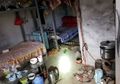 Tinggal di Kamar Berantakan, Pria Ini Tak Sadar Selama Ini Ada Buaya Hidup di Kolong Tempat Tidurnya, Langsung Syok Tahu Hewan Itu Masuk Daftar Merah Hewan Sangat Berbahaya