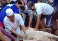 Bak Petir di Siang Bolong, Guru Ngaji di Banten Ini Tiba-tiba Meninggal Dunia Saat Tengah Menyembelih Sapi, Tersungkur Sambil Membawa Golok, Begini Kronologinya