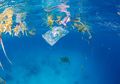 Inspirasi Bijak dari Pulau Dewata untuk Kebaikan Lingkungan