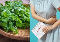 Manfaat Kesehatan Daun Ketumbar, Peradangan Hingga Masalah Menstruasi