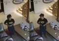Menjijikkan! Viral Rekaman CCTV ART Masukkan Masker Majikkannya ke Celana Dalam Sebelum Dipakai, Eko Patrio: Hati-hati Guys Banyak Orang yang 'Sakit Jiwa'