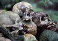 Di Tengah Pandemi Covid-19, Mayat-mayat di Desa di Bali Ini Masih Tetap Diletakkan Begitu Saja di Bawah Pohon Tanpa Dikubur, Apa Alasan Mereka?