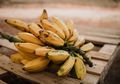 Mulai Sekarang Coba Rutin Minum Air Rebusan Pisang Dicampur Madu, Nantinya Hal Ajaib inilah yang Akan Dirasakan Oleh Tubuh, Gak Main-main!