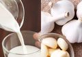 14 Khasiat Minuman Campuran Susu dan Bawang Putih, Coba Dahulu Baru Komentar