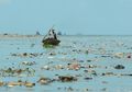 Peran Kita Mengatasi Permasalahan Sampah Puntung